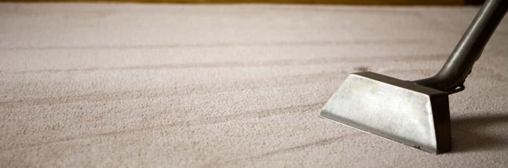 This is a photo of a cream rug which is being professionally steam cleaned.